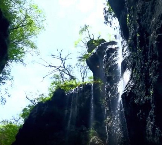青山綠水，白龍江畔江畔息白鷺，兩岸綠橄欖入眼的都是純樸自然枝上花開(kāi)，春來(lái)水暖魚(yú)蝦戲水，鳥(niǎo)語(yǔ)花香心中充滿(mǎn)著舒暢之感祥宇生態(tài)產(chǎn)業(yè)園，位于隴南市武..